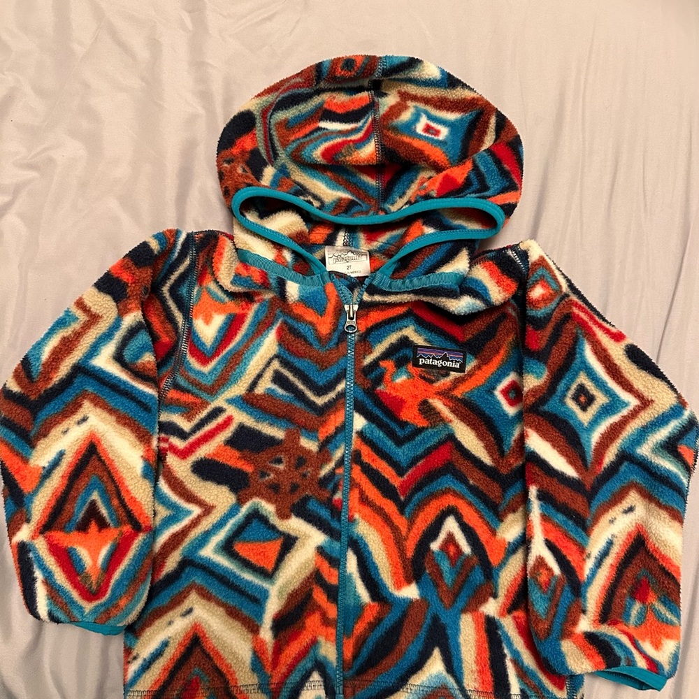 Toddler Patagonia Multicolor Fleece Jacket